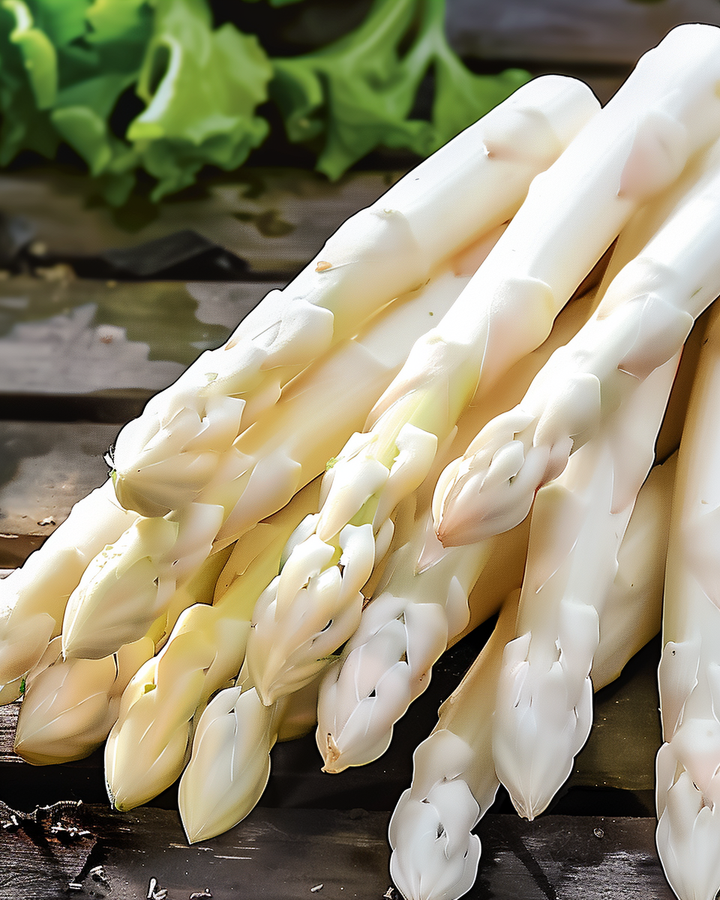 White Asparagus Seeds Asparagus Officinalis Argenteuil Variety