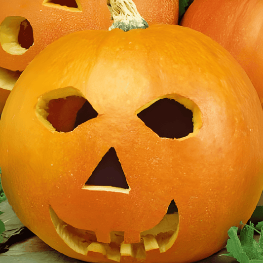 Jack O Lantern Pumpkin Seeds Cucurbita Pepo Halloween Decoration