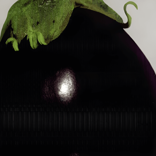 Black Beauty Eggplant Seeds Solanum Melongena L. Variety