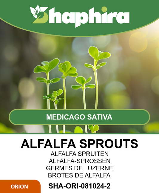 Alfalfa Sprouting Seeds Medicago Sativa 250g For Fresh Sprouts