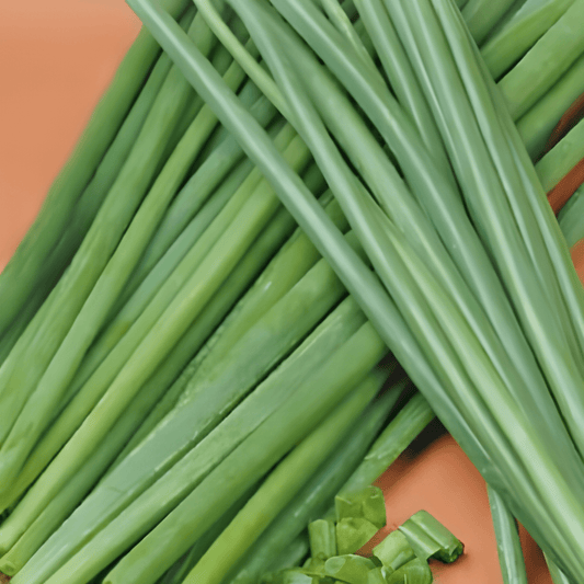 Chive Seeds Allium Fistulosum Large Onion Flavor Herb