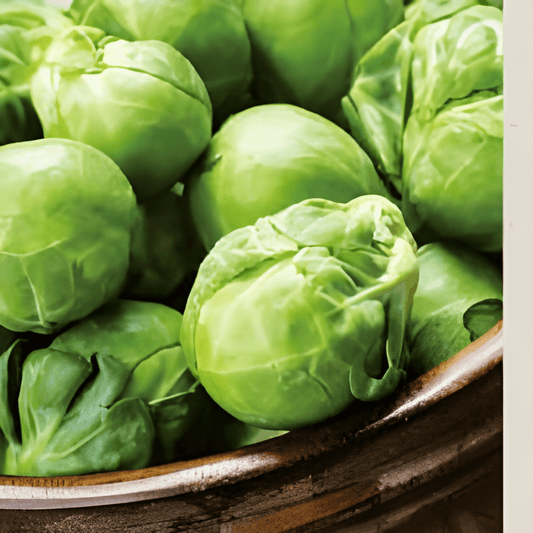 Organic Brussels Sprouts Doric F1 Seeds Brassica Oleracea Vegetables
