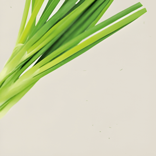 Organic Spring Onion Seeds White Lisbon Allium Cepa Vegetables