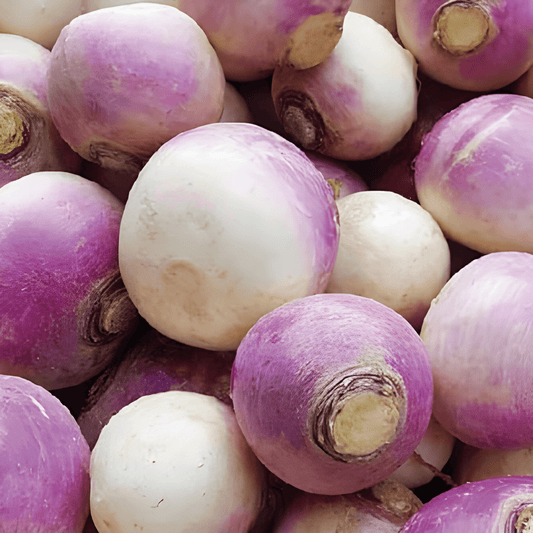 Turnip Seeds Brassica Rapa Round White Red Top Nancy