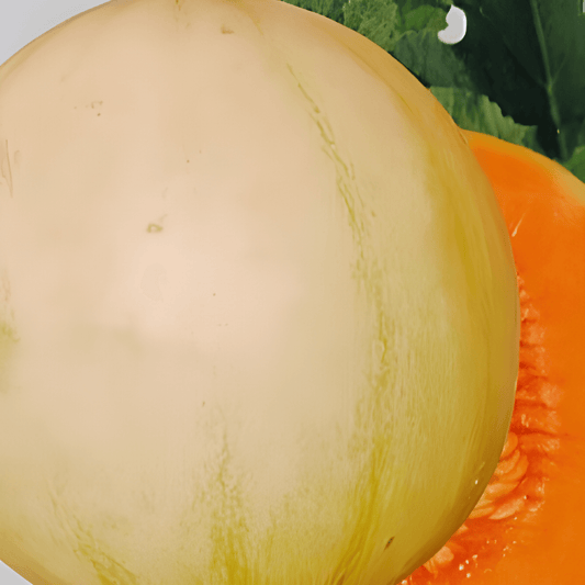 Climbing Sweet Melon Seeds Cucumis Melo L Early High Yield