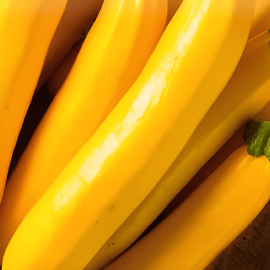 Gold Rush F1 Zucchini Seeds Cucurbita Pepo Yellow Fruits