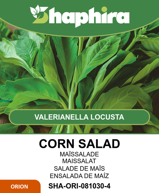 Corn Salad Seeds Valerianella Locusta Great North Holland 25g