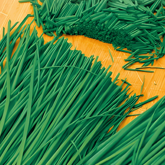 Chives Seeds Allium Schoenoprasum Fine Prague Variety