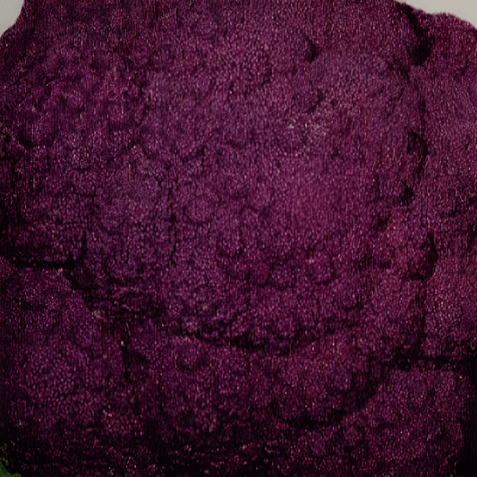 Purple Cauliflower Seeds Brassica Oleracea Cavolfiore Sicilia Violetto