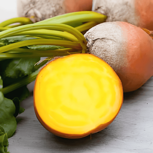 Golden Beet Seeds Beta Vulgaris Sweet Yellow Flesh Vegetables