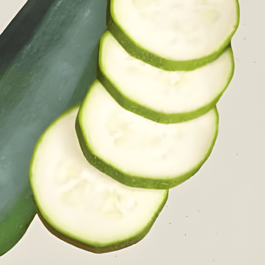 Organic Zucchini Seeds Cucurbita Pepo Partenon F1 Vegetable