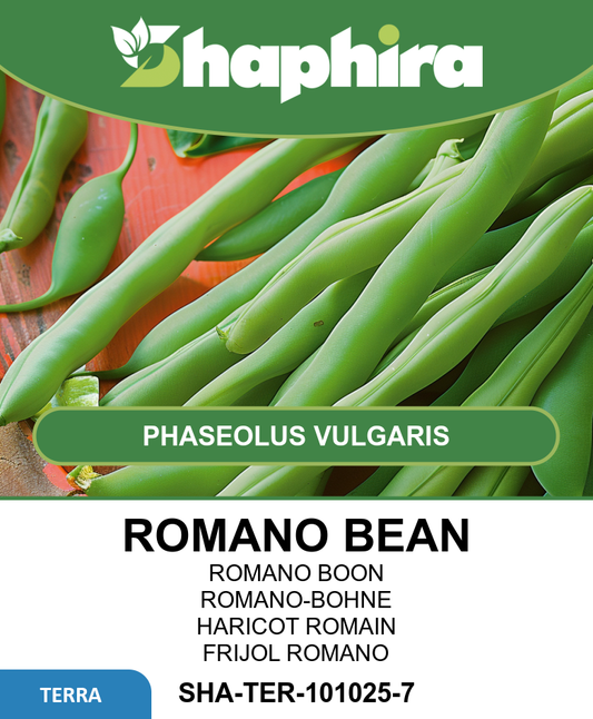 Romano Beans Seeds Phaseolus Vulgaris High Yield Vegetable Seeds 100g