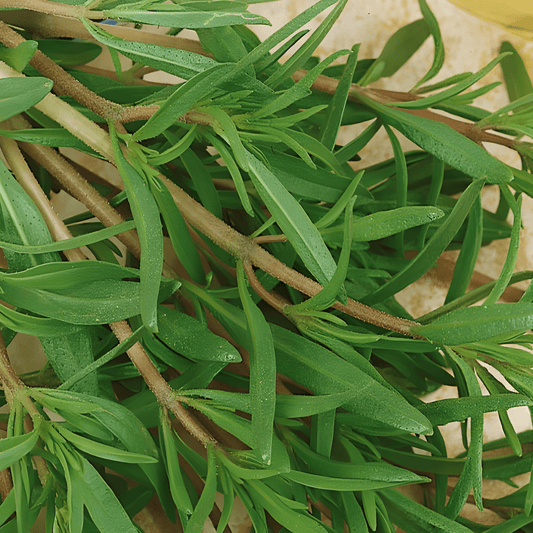 Summer Savory Seeds Satureja Hortensis Annual Herb Variety