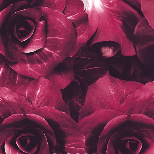 Redloaf Chicory Seeds Cichorium Intybus L Verona Late Red Variety