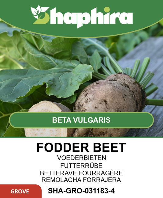 Fodder Beet Seeds Beta Vulgaris Brigadier Animal Feed Vegetable