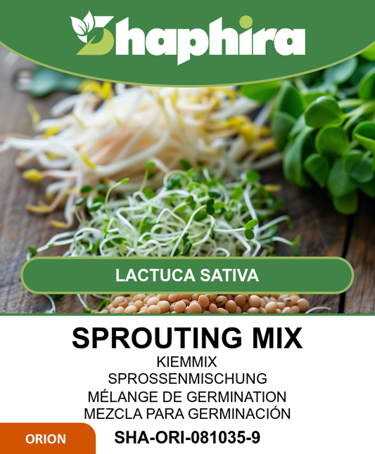 Organic Sprouting Seeds Lactuca Sativa Mung Bean Lentil Mix