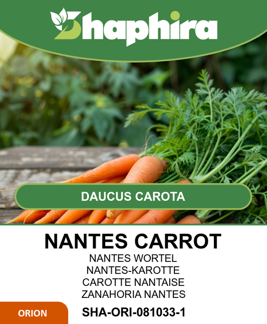 Summer Carrot Seeds Nantes 2 Daucus Carota 25 Grams
