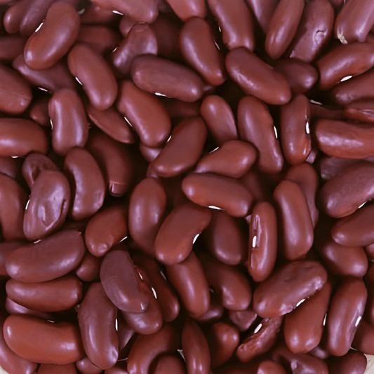 Kidney Bean Seeds Phaseolus Vulgaris Canadian Wonder 15g Red Beans