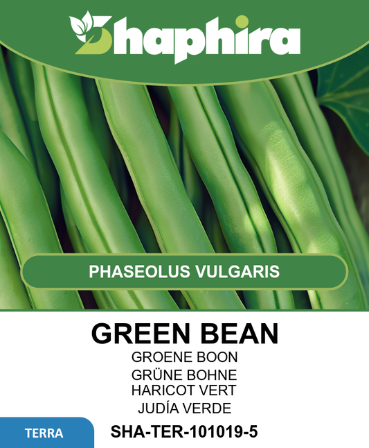 Green Bean Seeds Kylian Phaseolus Vulgaris Early Long Pods 50g