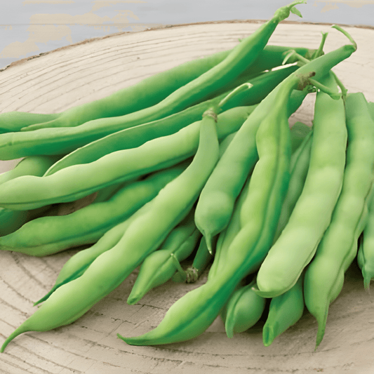 Runner Beans Seeds Phaseolus Vulgaris High Yielding Tender Pods