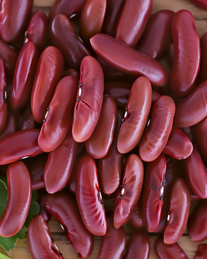 Kidney Bean Seeds Phaseolus Vulgaris Canadian Wonder 15g Red Beans