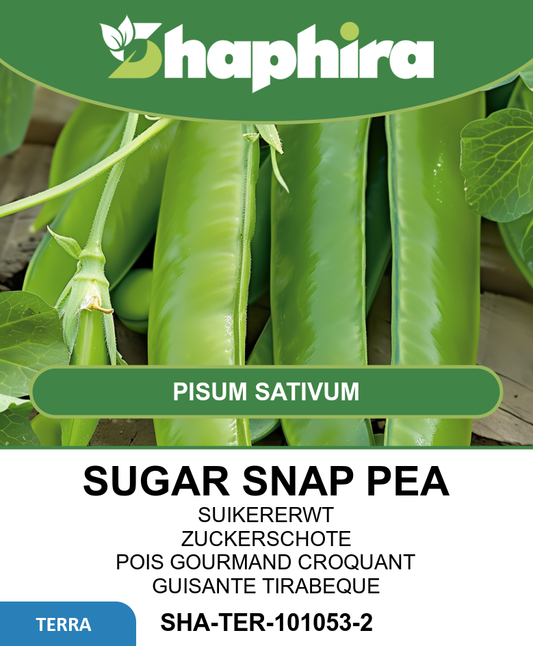 Sugar Snap Peas Seeds Pisum Sativum Early Harvest Large Pods