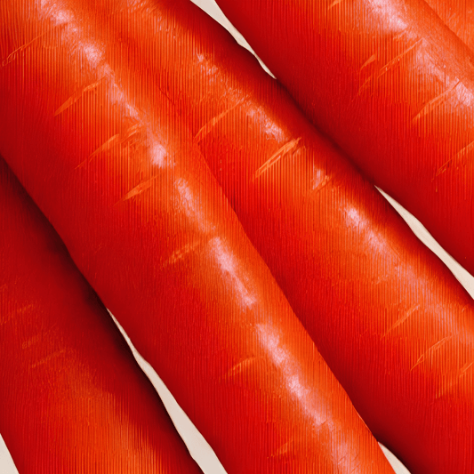 Nantes 2 Carrot Seeds Daucus Carota L. Sweet Summer Variety