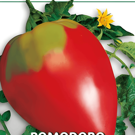 Cuor Di Bue Tomato Seeds Solanum Lycopersicum L. Large Beefsteak