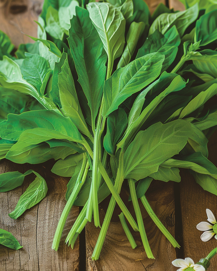 Corn Salad Seeds Valerianella Locusta Great North Holland 25g