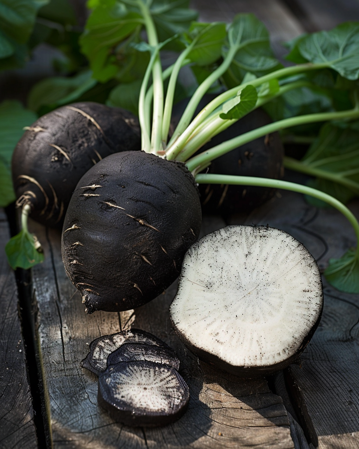 Organic Black Round Horseradish Seeds Raphanus Sativus Vegetable