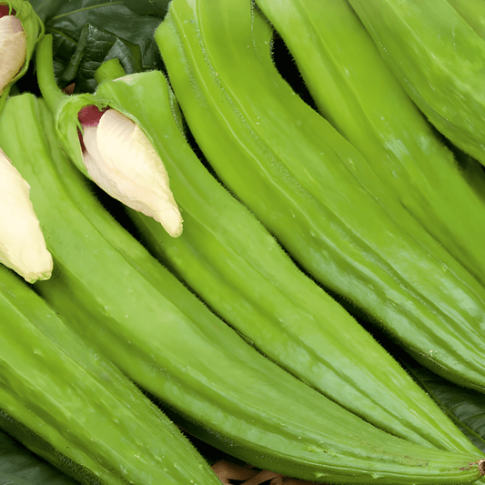 Okra Clemson Spineless Seeds Abelmoschus Esculentus Vegetable Variety