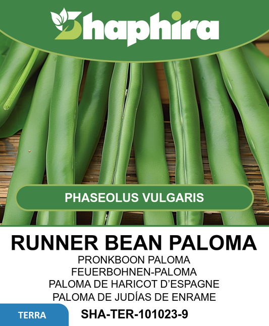 Runner Beans Paloma Seeds Phaseolus Vulgaris Vegetable Variety 100g