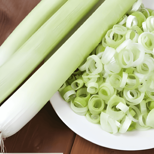 Bulgarian Giants Leek Seeds Allium Porrum Long Stem Summer Variety