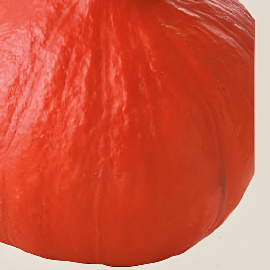 Organic Uchiki Kuri Pumpkin Seeds Cucurbita Maxima Vegetable