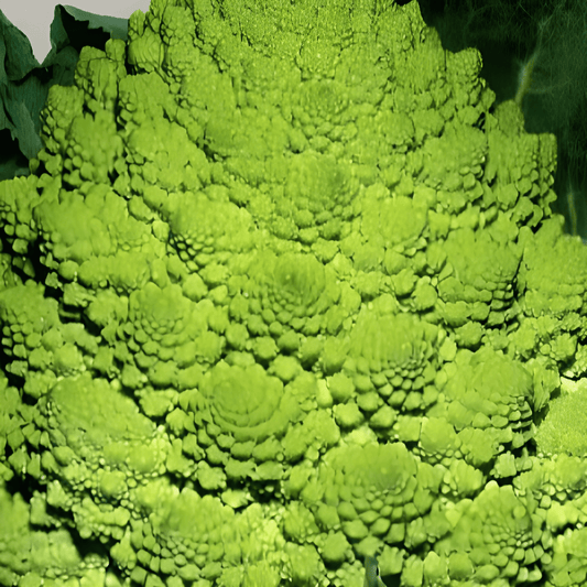 Romanesco Cauliflower Seeds Brassica Oleracea Green Spiral Florets