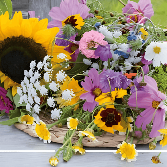 Mixed Cut Flowers Seeds Colorful Annuals For Stunning Bouquets