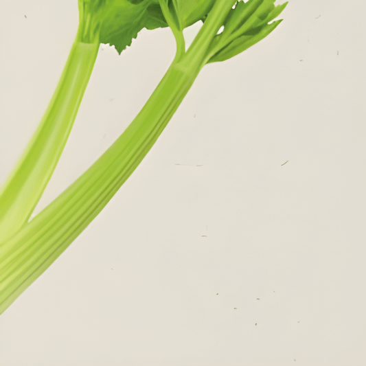 Organic Celery Seeds Apium Graveolens Tall Utah 52 70 Variety