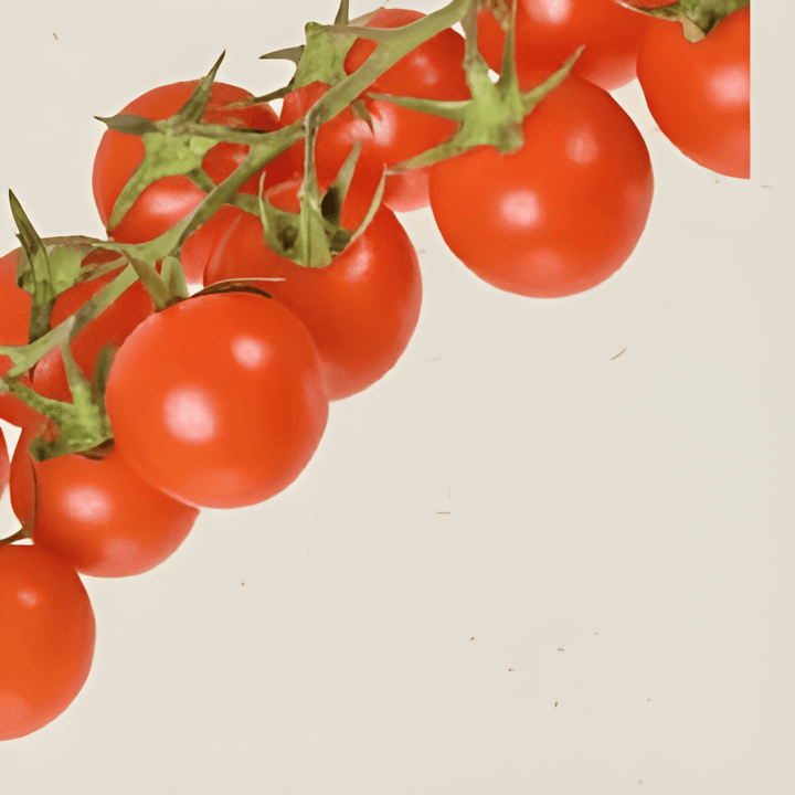 Organic Cherry Tomato Seeds Solanum Lycopersicum Sweet Flavor