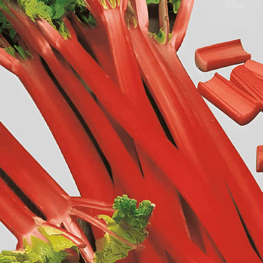 Rhubarb Seeds Rheum Rhabarbarum L Large Red Stems Perennial