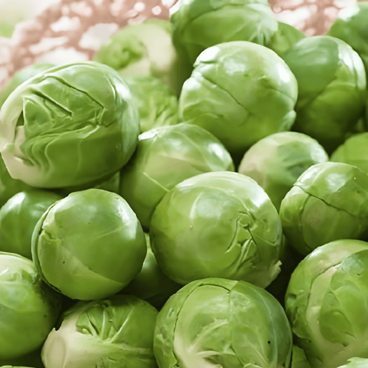 Brussels Sprouts Seeds Brassica Oleracea Topline F1 Variety