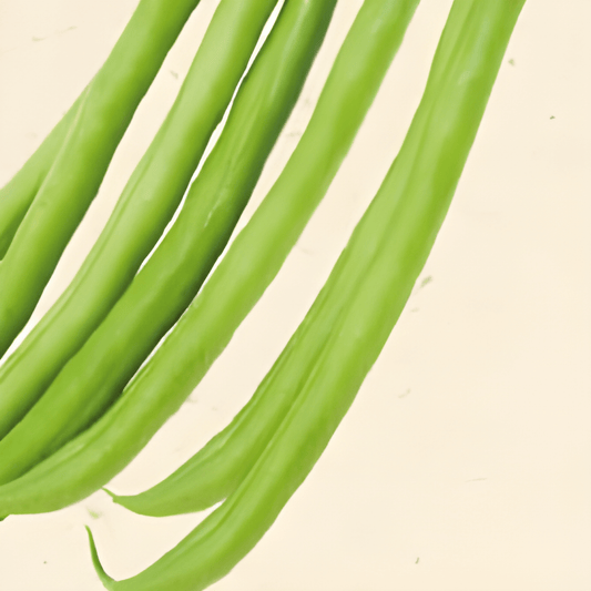 Organic Pole Bean Seeds Phaseolus Vulgaris Compass Variety