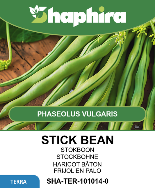 Stick Bean Seeds Phaseolus Vulgaris Early High Yield Variety