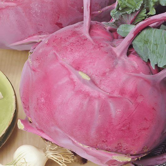 Kohlrabi Blaro Seeds Brassica Oleracea Early Blue Vegetable Seeds