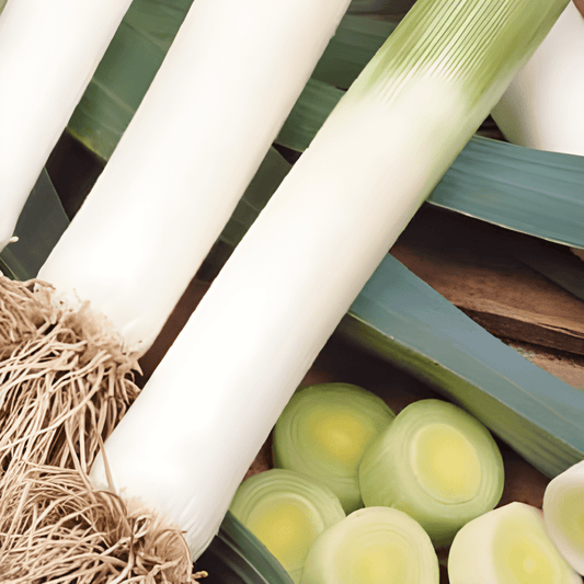 Winter Leek Seeds Blue Green Winter Allium Porrum Sturdy Shafts