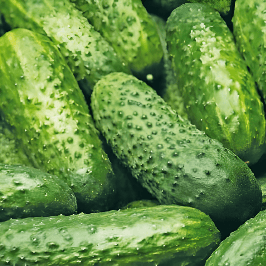 Gherkin Seeds National Little Green Cucumis Sativus Small Green Variety