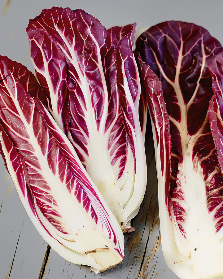 Radicchio Seeds Cichorium Intybus L Italian Red Chicory Variety