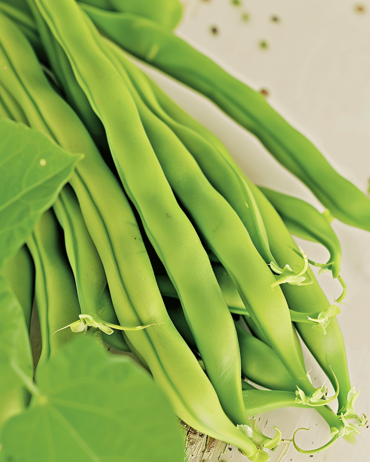 Organic Stamslaboon Maxi Phaseolus Vulgaris Vegetable Seeds