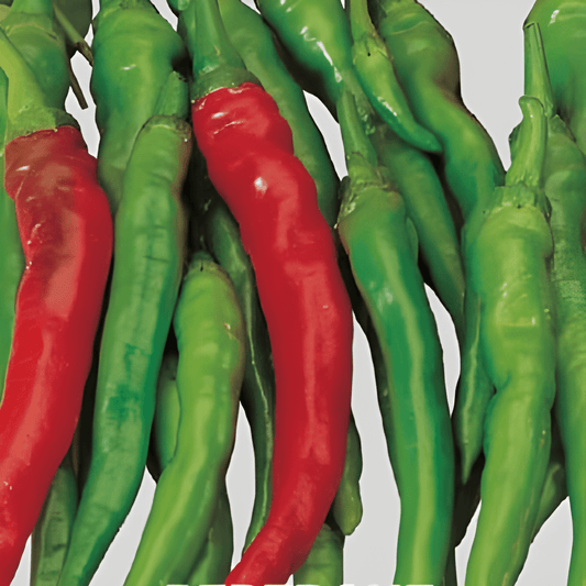 Sweet Pepper Of Bergamo Seeds Capsicum Annuum Long Pointed Fruits