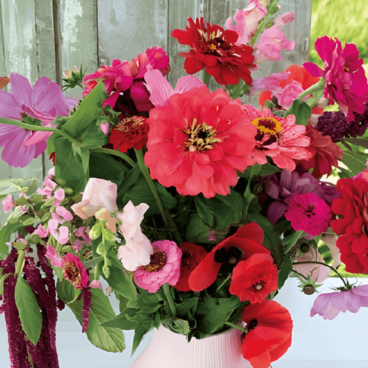 Summer Flower Seeds Summerflowers Mix Pink Red Shades