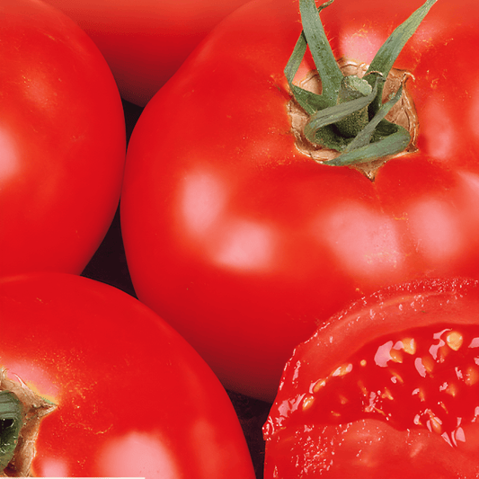 Tomato Fadango F1 Seeds Solanum Lycopersicum Medium Early Variety